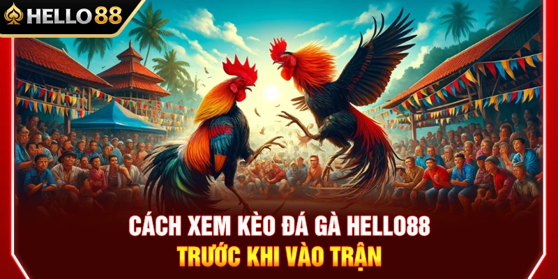 Cách Xem Kèo Đá Gà HELLO88 Trước Khi Vào Trận 1 Cách Xem Kèo Đá Gà HELLO88 Trước Khi Vào Trận