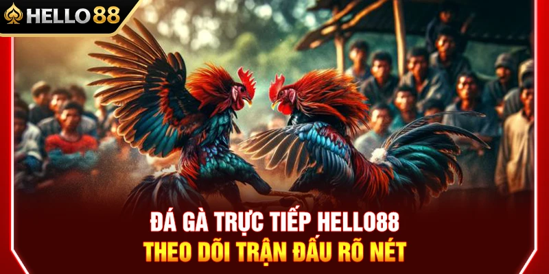 Đá Gà Trực Tiếp HELLO88 – Theo Dõi Trận Đấu Rõ Nét 1 Đá Gà Trực Tiếp HELLO88 – Theo Dõi Trận Đấu Rõ Nét