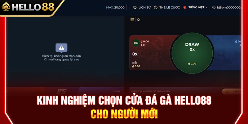 Kinh Nghiệm Chọn Cửa Đá Gà HELLO88 Cho Người Mới 1 Kinh Nghiệm Chọn Cửa Đá Gà HELLO88 Cho Người Mới