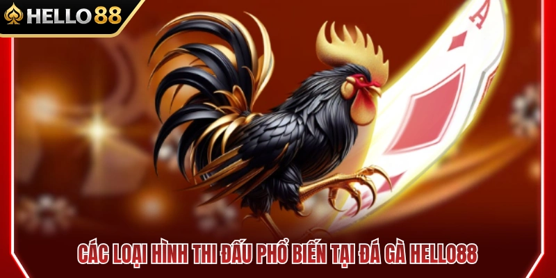 Danh sách hình thức chọi gà được yêu thích 