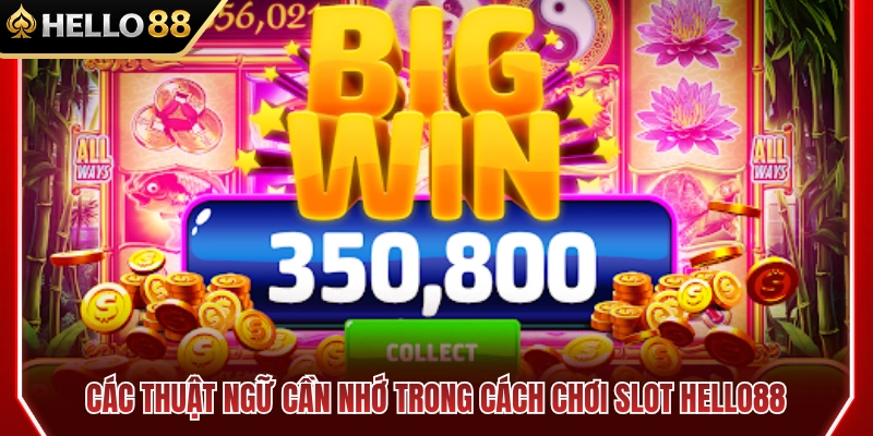 Cách Chơi Slot HELLO88 Cho Người Mới Không Bị Rối 4 Tổng hợp thuật ngữ quan trọng khi chơi slot HELLO88