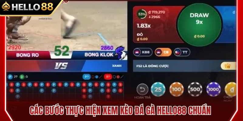 Cách Xem Kèo Đá Gà HELLO88 Trước Khi Vào Trận 3 Các bước xem kèo đá gà HELLO88 chuẩn xác