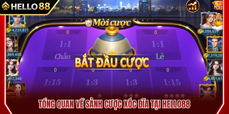 Khám phá sảnh chơi xóc đĩa HELLO88 